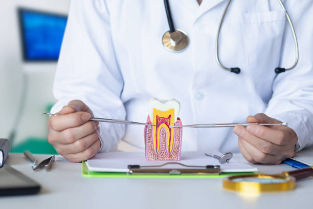 Best Dentist Open on Weekends  in Governors Clu, NC